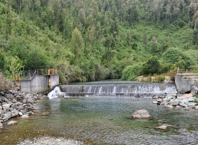 Vertedero de una obra de captación en un río rodeado de bosque